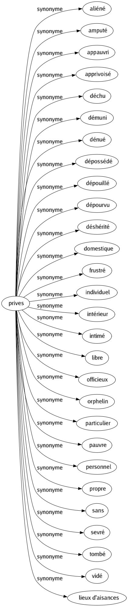 Synonyme de Prives : Aliéné Amputé Appauvri Apprivoisé Déchu Démuni Dénué Dépossédé Dépouillé Dépourvu Déshérité Domestique Frustré Individuel Intérieur Intimé Libre Officieux Orphelin Particulier Pauvre Personnel Propre Sans Sevré Tombé Vidé Lieux d'aisances 