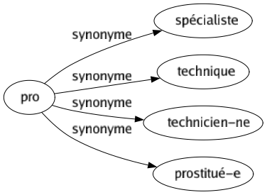 Synonyme de Pro : Spécialiste Technique Technicien-ne Prostitué-e 