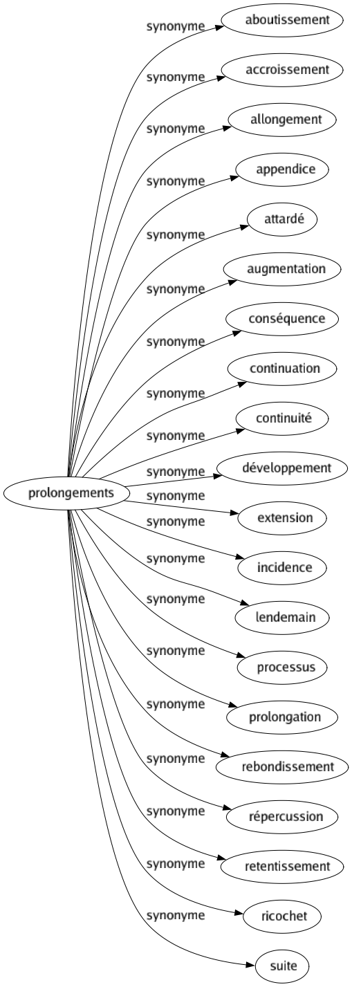 Synonyme de Prolongements : Aboutissement Accroissement Allongement Appendice Attardé Augmentation Conséquence Continuation Continuité Développement Extension Incidence Lendemain Processus Prolongation Rebondissement Répercussion Retentissement Ricochet Suite 