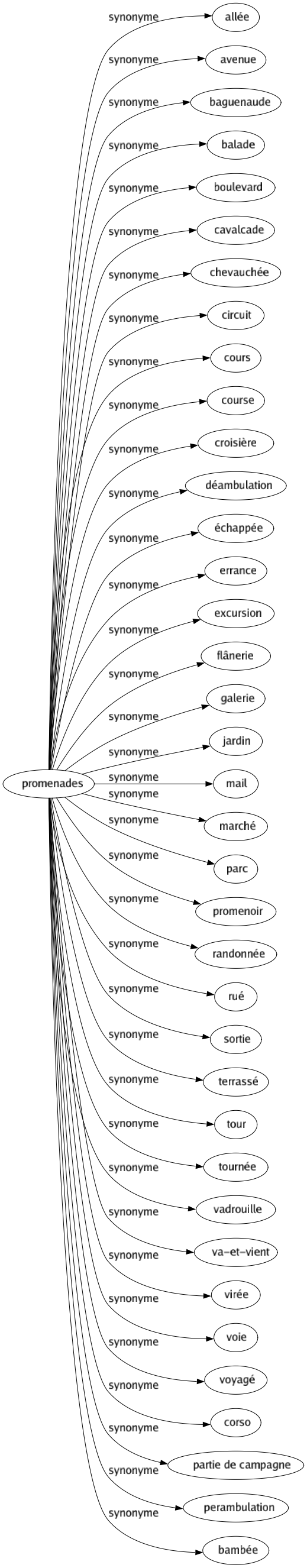 Synonyme de Promenades : Allée Avenue Baguenaude Balade Boulevard Cavalcade Chevauchée Circuit Cours Course Croisière Déambulation Échappée Errance Excursion Flânerie Galerie Jardin Mail Marché Parc Promenoir Randonnée Rué Sortie Terrassé Tour Tournée Vadrouille Va-et-vient Virée Voie Voyagé Corso Partie de campagne Perambulation Bambée 