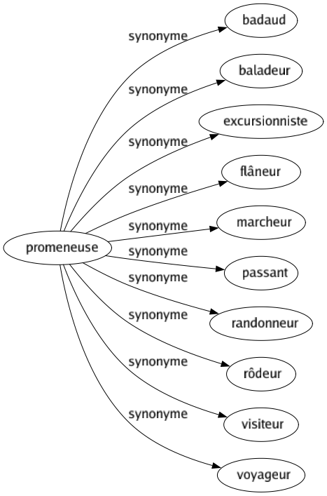 Synonyme de Promeneuse : Badaud Baladeur Excursionniste Flâneur Marcheur Passant Randonneur Rôdeur Visiteur Voyageur 