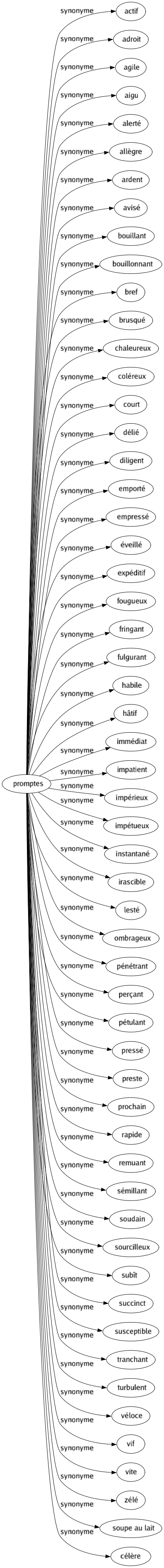 Synonyme de Promptes : Actif Adroit Agile Aigu Alerté Allègre Ardent Avisé Bouillant Bouillonnant Bref Brusqué Chaleureux Coléreux Court Délié Diligent Emporté Empressé Éveillé Expéditif Fougueux Fringant Fulgurant Habile Hâtif Immédiat Impatient Impérieux Impétueux Instantané Irascible Lesté Ombrageux Pénétrant Perçant Pétulant Pressé Preste Prochain Rapide Remuant Sémillant Soudain Sourcilleux Subît Succinct Susceptible Tranchant Turbulent Véloce Vif Vite Zélé Soupe au lait Célère 