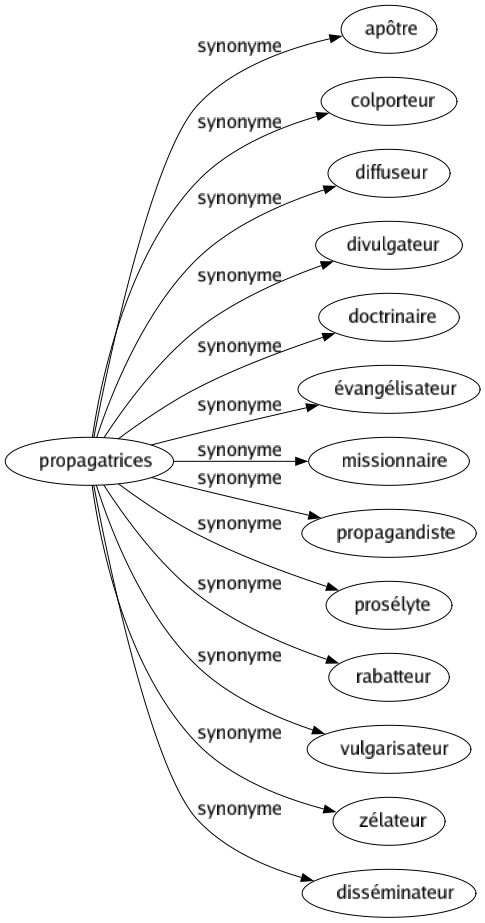 Synonyme de Propagatrices : Apôtre Colporteur Diffuseur Divulgateur Doctrinaire Évangélisateur Missionnaire Propagandiste Prosélyte Rabatteur Vulgarisateur Zélateur Disséminateur 