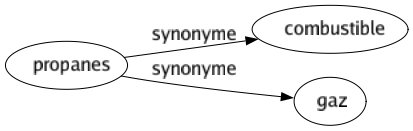 Synonyme de Propanes : Combustible Gaz 