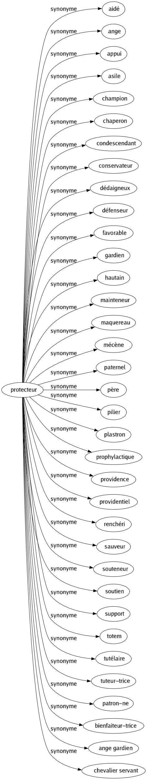 Synonyme de Protecteur : Aidé Ange Appui Asile Champion Chaperon Condescendant Conservateur Dédaigneux Défenseur Favorable Gardien Hautain Mainteneur Maquereau Mécène Paternel Père Pilier Plastron Prophylactique Providence Providentiel Renchéri Sauveur Souteneur Soutien Support Totem Tutélaire Tuteur-trice Patron-ne Bienfaiteur-trice Ange gardien Chevalier servant 