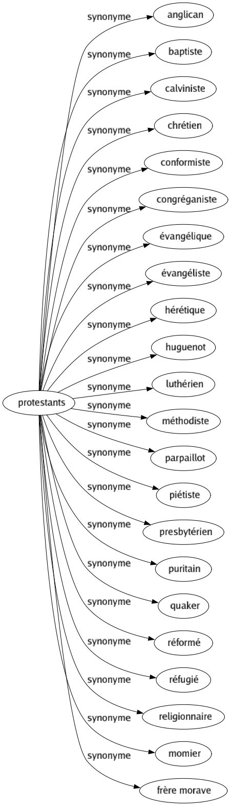 Synonyme de Protestants : Anglican Baptiste Calviniste Chrétien Conformiste Congréganiste Évangélique Évangéliste Hérétique Huguenot Luthérien Méthodiste Parpaillot Piétiste Presbytérien Puritain Quaker Réformé Réfugié Religionnaire Momier Frère morave 