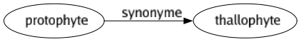 Synonyme de Protophyte : Thallophyte 