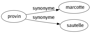 Synonyme de Provin : Marcotte Sautelle 