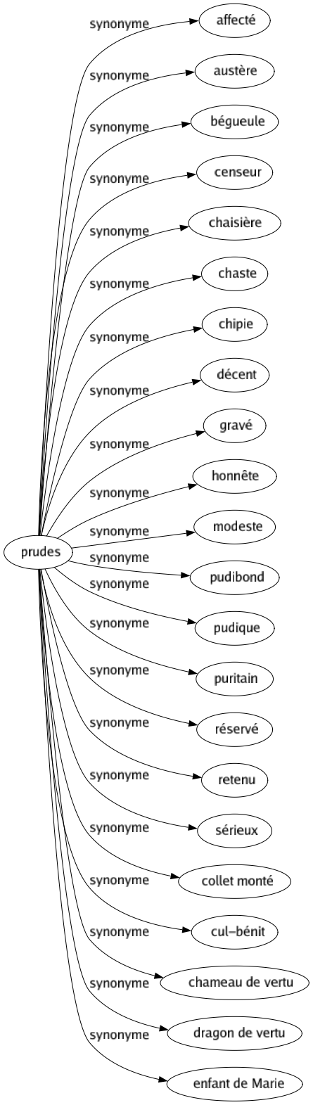 Synonyme de Prudes : Affecté Austère Bégueule Censeur Chaisière Chaste Chipie Décent Gravé Honnête Modeste Pudibond Pudique Puritain Réservé Retenu Sérieux Collet monté Cul-bénit Chameau de vertu Dragon de vertu Enfant de marie 