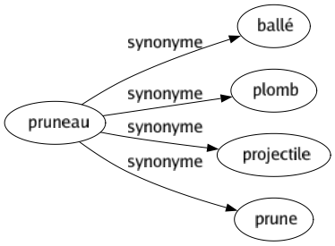 Synonyme de Pruneau : Ballé Plomb Projectile Prune 