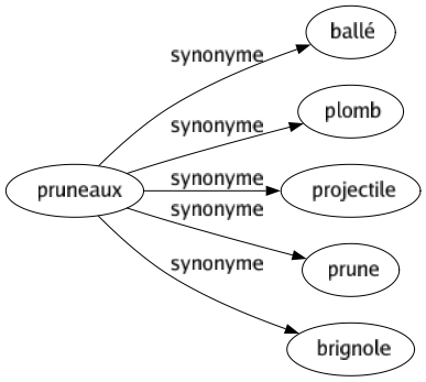 Synonyme de Pruneaux : Ballé Plomb Projectile Prune Brignole 