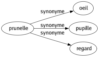 Synonyme de Prunelle : Oeil Pupille Regard 