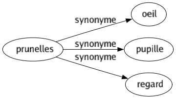 Synonyme de Prunelles : Oeil Pupille Regard 