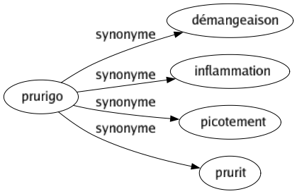 Synonyme de Prurigo : Démangeaison Inflammation Picotement Prurit 