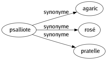 Synonyme de Psalliote : Agaric Rosé Pratelle 