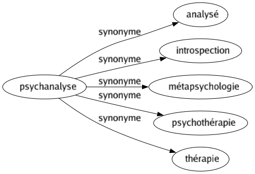 Synonyme de Psychanalyse : Analysé Introspection Métapsychologie Psychothérapie Thérapie 