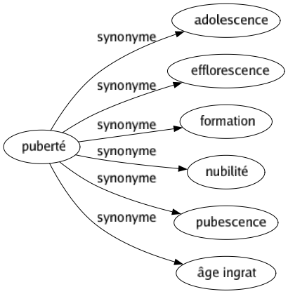 Synonyme de Puberté : Adolescence Efflorescence Formation Nubilité Pubescence Âge ingrat 
