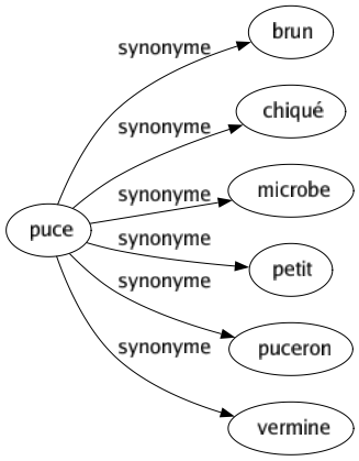 Synonyme de Puce : Brun Chiqué Microbe Petit Puceron Vermine 