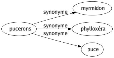 Synonyme de Pucerons : Myrmidon Phylloxéra Puce 