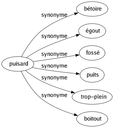 Synonyme de Puisard : Bétoire Égout Fossé Puits Trop-plein Boitout 