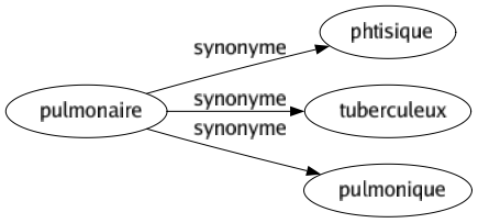 Synonyme de Pulmonaire : Phtisique Tuberculeux Pulmonique 