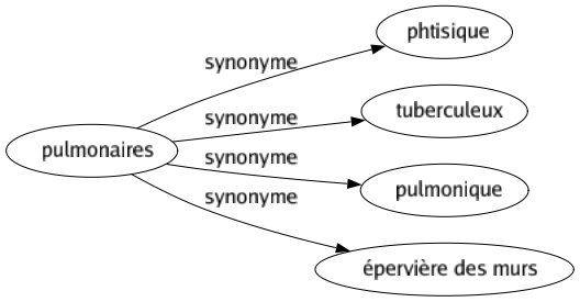 Synonyme de Pulmonaires : Phtisique Tuberculeux Pulmonique Épervière des murs 