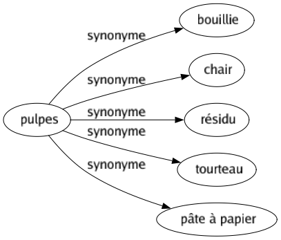 Synonyme de Pulpes : Bouillie Chair Résidu Tourteau Pâte à papier 