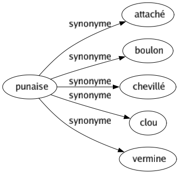 Synonyme de Punaise : Attaché Boulon Chevillé Clou Vermine 