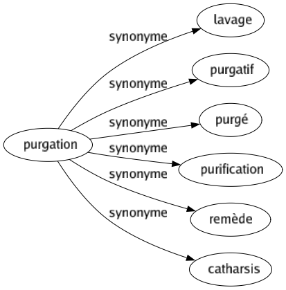 Synonyme de Purgation : Lavage Purgatif Purgé Purification Remède Catharsis 