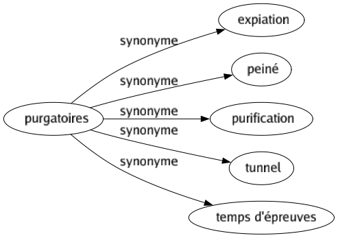 Synonyme de Purgatoires : Expiation Peiné Purification Tunnel Temps d'épreuves 