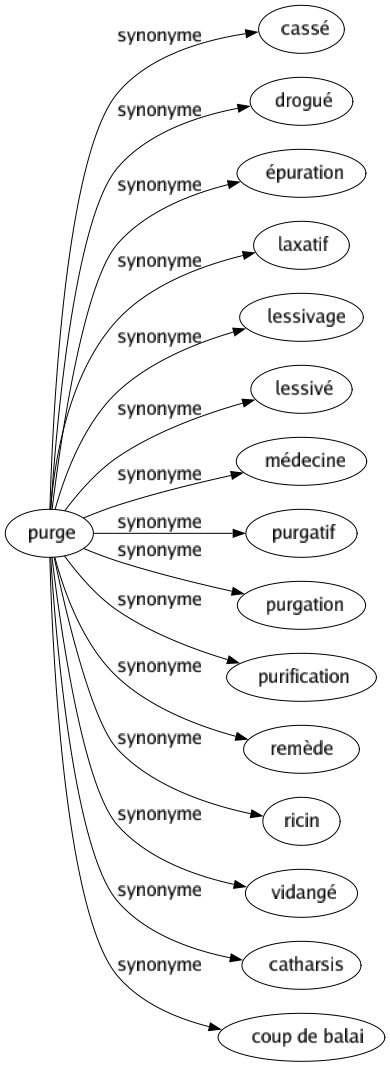 Synonyme de Purge : Cassé Drogué Épuration Laxatif Lessivage Lessivé Médecine Purgatif Purgation Purification Remède Ricin Vidangé Catharsis Coup de balai 