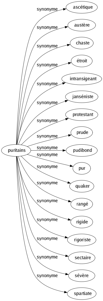 Synonyme de Puritains : Ascétique Austère Chaste Étroit Intransigeant Janséniste Protestant Prude Pudibond Pur Quaker Rangé Rigide Rigoriste Sectaire Sévère Spartiate 