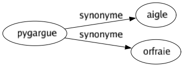 Synonyme de Pygargue : Aigle Orfraie 