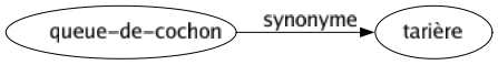 Synonyme de Queue-de-cochon : Tarière 