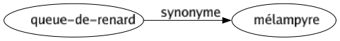 Synonyme de Queue-de-renard : Mélampyre 