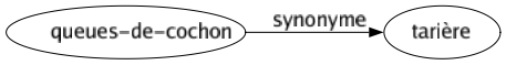 Synonyme de Queues-de-cochon : Tarière 