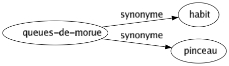 Synonyme de Queues-de-morue : Habit Pinceau 