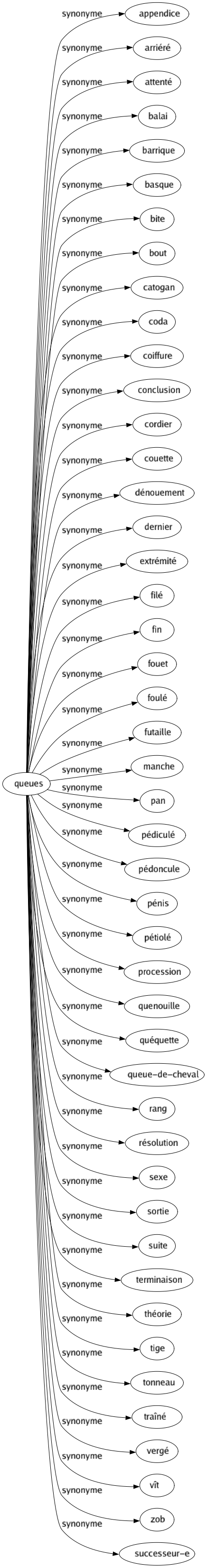 Synonyme de Queues : Appendice Arriéré Attenté Balai Barrique Basque Bite Bout Catogan Coda Coiffure Conclusion Cordier Couette Dénouement Dernier Extrémité Filé Fin Fouet Foulé Futaille Manche Pan Pédiculé Pédoncule Pénis Pétiolé Procession Quenouille Quéquette Queue-de-cheval Rang Résolution Sexe Sortie Suite Terminaison Théorie Tige Tonneau Traîné Vergé Vît Zob Successeur-e 