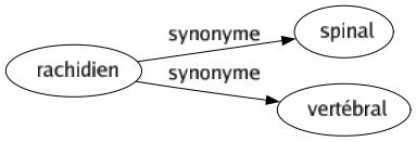 Synonyme de Rachidien : Spinal Vertébral 