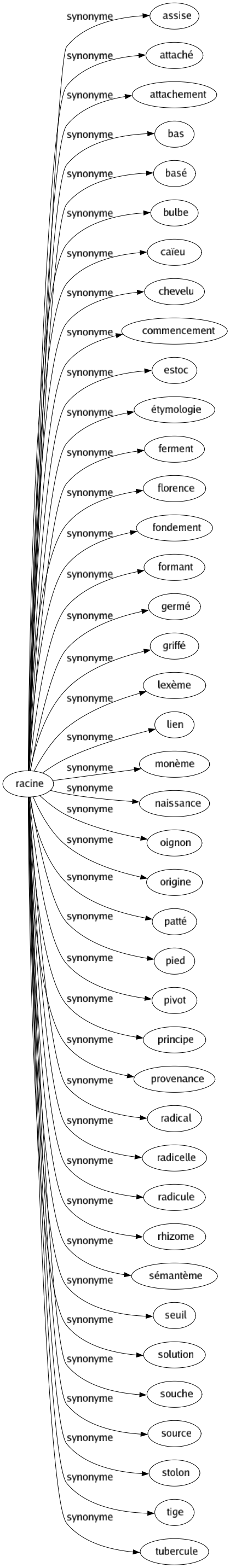 Synonyme de Racine : Assise Attaché Attachement Bas Basé Bulbe Caïeu Chevelu Commencement Estoc Étymologie Ferment Florence Fondement Formant Germé Griffé Lexème Lien Monème Naissance Oignon Origine Patté Pied Pivot Principe Provenance Radical Radicelle Radicule Rhizome Sémantème Seuil Solution Souche Source Stolon Tige Tubercule 