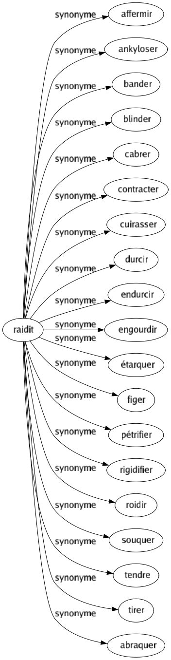 Synonyme de Raidit : Affermir Ankyloser Bander Blinder Cabrer Contracter Cuirasser Durcir Endurcir Engourdir Étarquer Figer Pétrifier Rigidifier Roidir Souquer Tendre Tirer Abraquer 