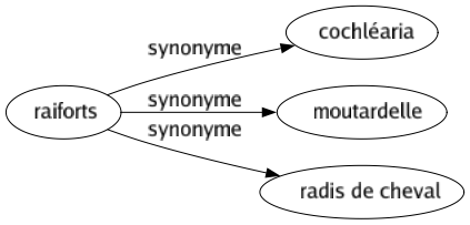 Synonyme de Raiforts : Cochléaria Moutardelle Radis de cheval 