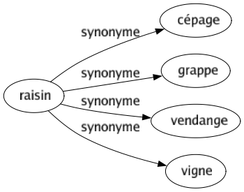 Synonyme de Raisin : Cépage Grappe Vendange Vigne 