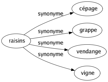 Synonyme de Raisins : Cépage Grappe Vendange Vigne 