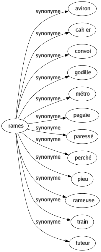 Synonyme de Rames : Aviron Cahier Convoi Godille Métro Pagaïe Paressé Perché Pieu Rameuse Train Tuteur 