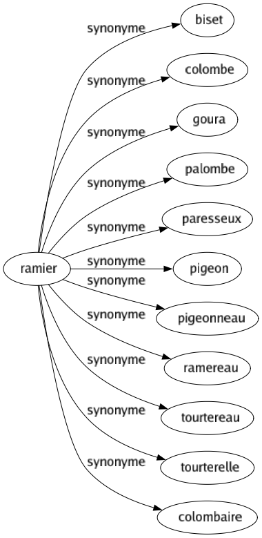 Synonyme de Ramier : Biset Colombe Goura Palombe Paresseux Pigeon Pigeonneau Ramereau Tourtereau Tourterelle Colombaire 