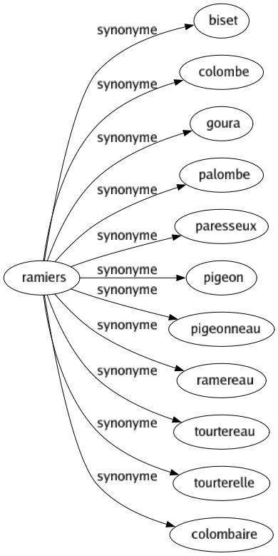 Synonyme de Ramiers : Biset Colombe Goura Palombe Paresseux Pigeon Pigeonneau Ramereau Tourtereau Tourterelle Colombaire 