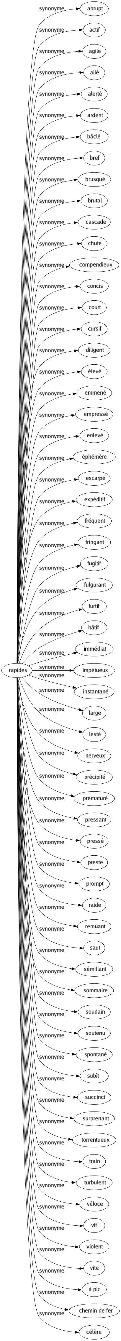 Synonyme de Rapides : Abrupt Actif Agile Ailé Alerté Ardent Bâclé Bref Brusqué Brutal Cascade Chuté Compendieux Concis Court Cursif Diligent Élevé Emmené Empressé Enlevé Éphémère Escarpé Expéditif Fréquent Fringant Fugitif Fulgurant Furtif Hâtif Immédiat Impétueux Instantané Large Lesté Nerveux Précipité Prématuré Pressant Pressé Preste Prompt Raide Remuant Saut Sémillant Sommaire Soudain Soutenu Spontané Subît Succinct Surprenant Torrentueux Train Turbulent Véloce Vif Violent Vite À pic Chemin de fer Célère 