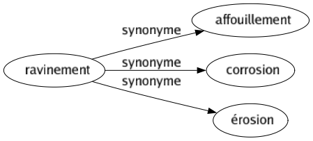 Synonyme de Ravinement : Affouillement Corrosion Érosion 