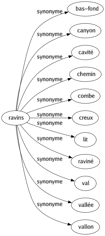 Synonyme de Ravins : Bas-fond Canyon Cavité Chemin Combe Creux Lit Raviné Val Vallée Vallon 